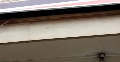 EL SAZON COSTENO BOGOTÁ EL SAZON COSTENO BOGOTÁ